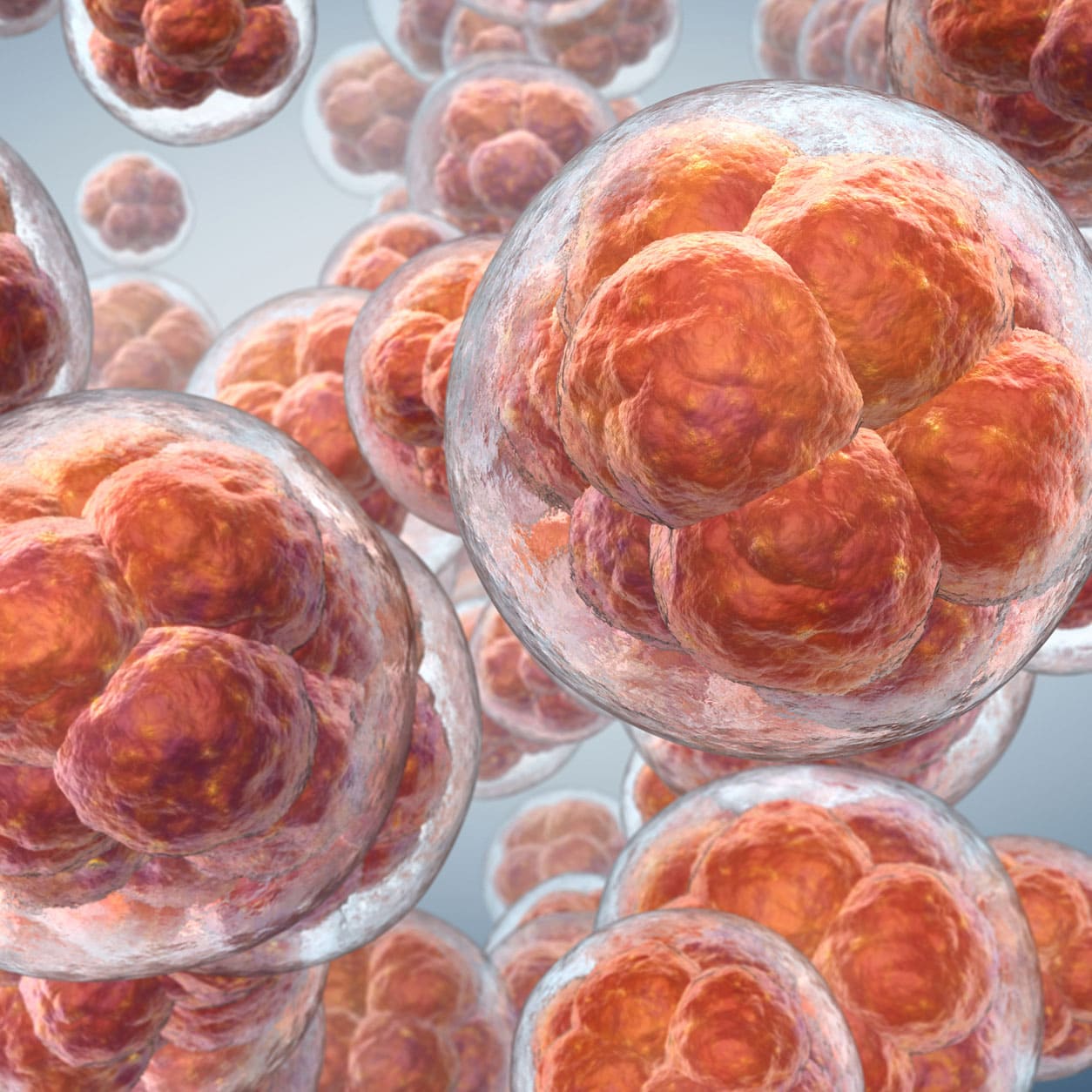 Conceptual illustration of cell and tissue biology