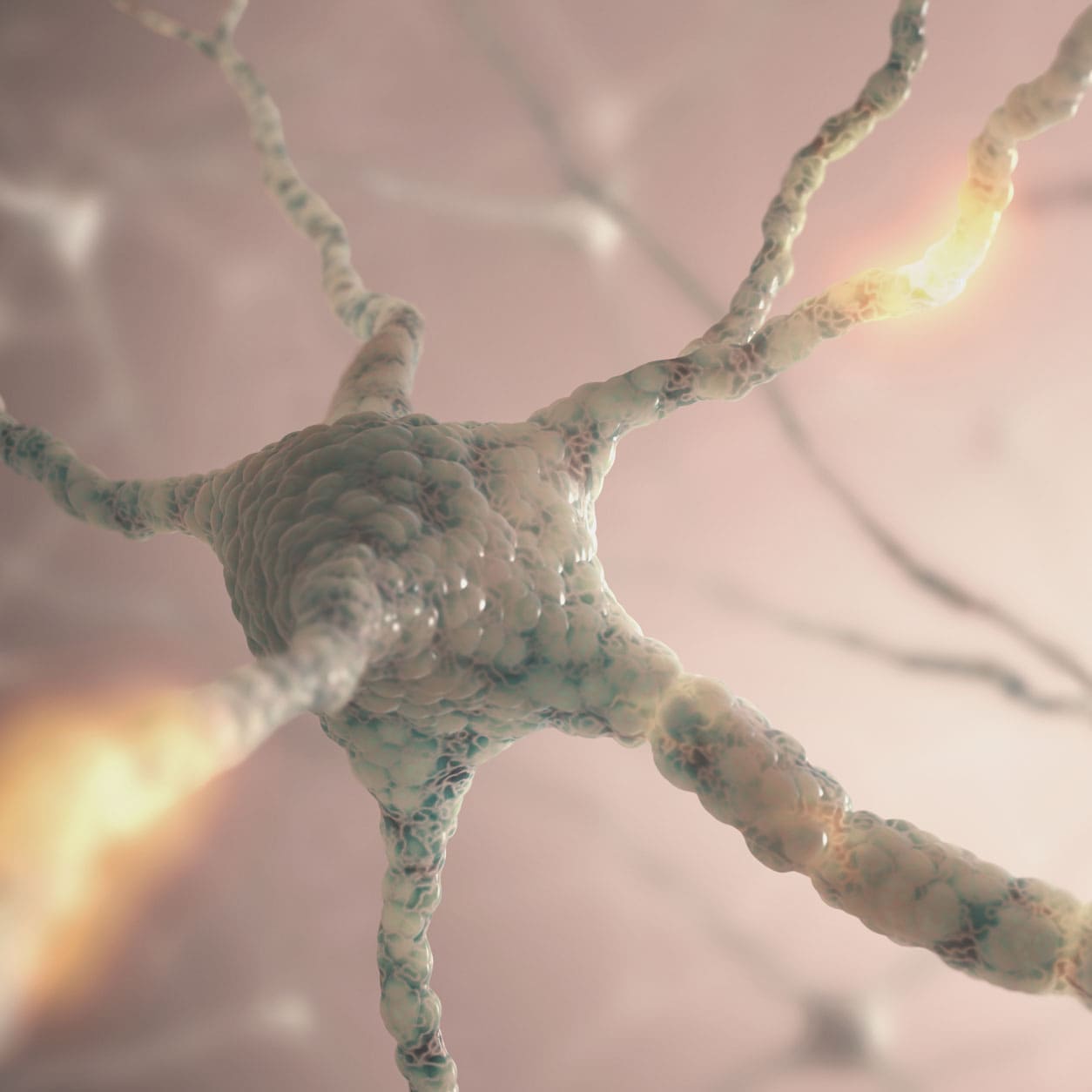 Conceptual illustration of neuroscience