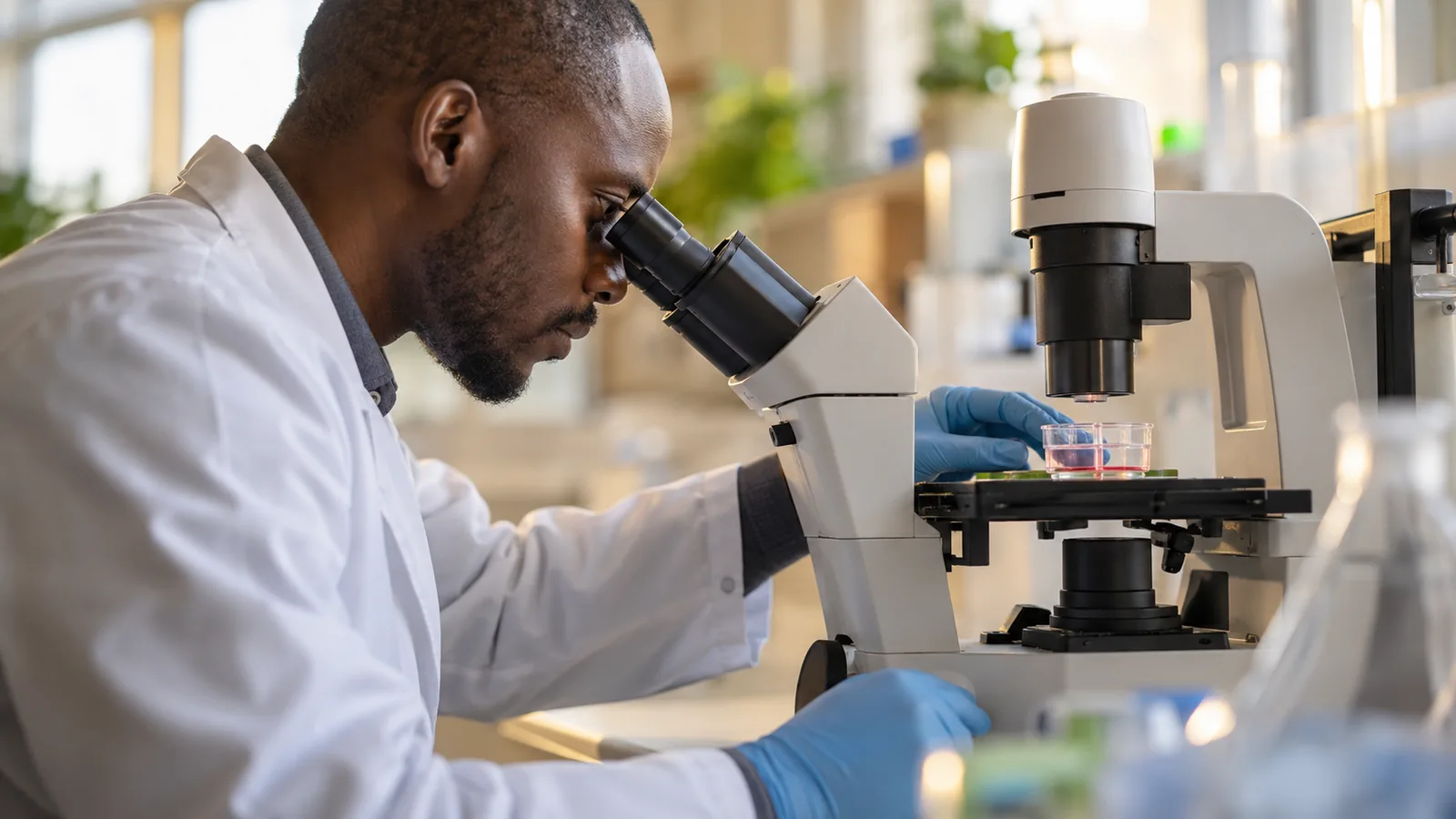 Tissue culture insert prepared for inflammation research